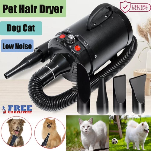 Professional pet dog cat - professional,