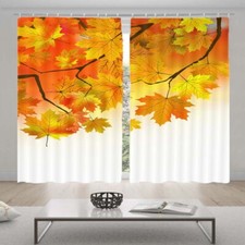 Orange Next Change 3D Curtain