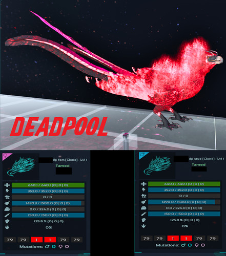 Ark survival ascended phoenix - survival,