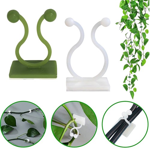 50x plant climbing wall - wall, vines