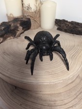 Spider Garden Ornament Cast