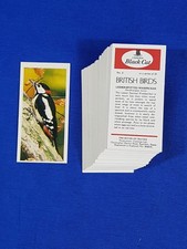 Carreras Black Cat Cigarette Cards BRITISH BIRDS Full set of 50 loose
