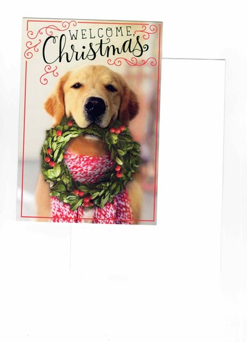 Golden retriever dog christmas - golden,
