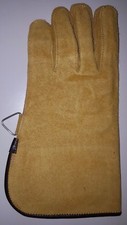 New Falconry Glove (Single