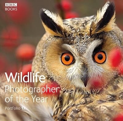 Wildlife photographer the - wildlife,