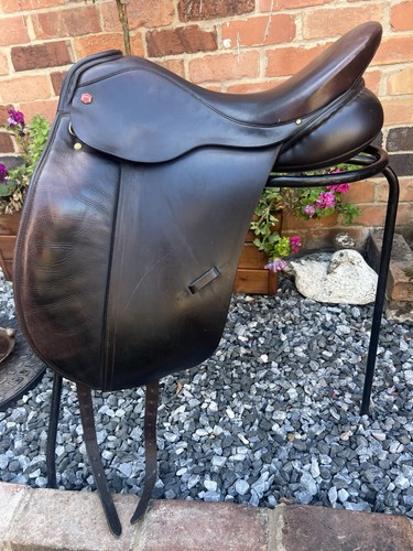 Albion brown dressage - albion, sl
