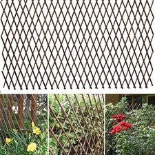 Telescopic Expandable Willow