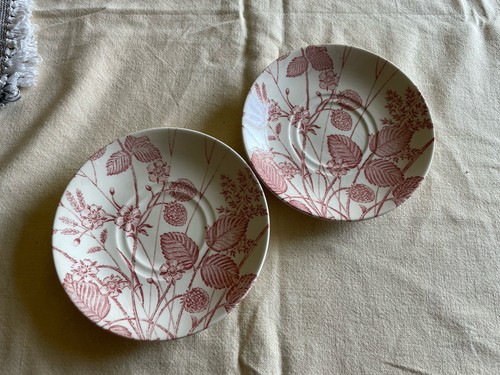 Ironstone pottery saucers - ironstone,