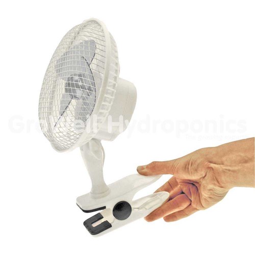 Clip fan 6 inch - clip,