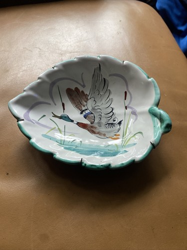 Bin hand painted flying duck - hand,