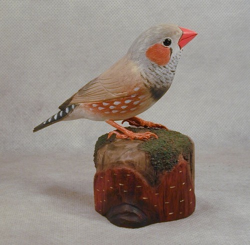 Zebra finch original wood - finch,