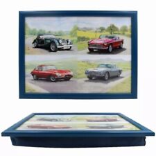 Lap Tray Padded Cushioned Bean