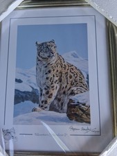 Stephen Gayford, Limited edition print  Mountain Splendor.238/1100. Snow Leopard