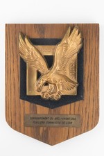 French Air Force Commando