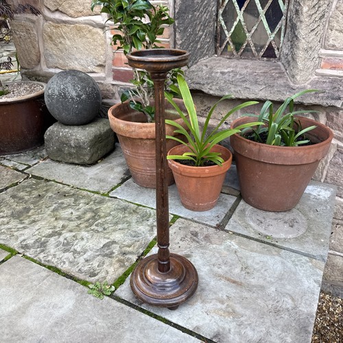 Vintage mid century - century, plant