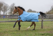 Horseware Amigo Hero 900