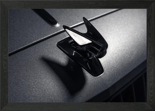 Bentley hood ornament framed - ornament,