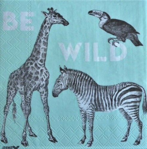 Single paper napkins - 4, x