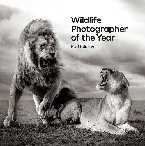 Wildlife photographer the - wildlife,