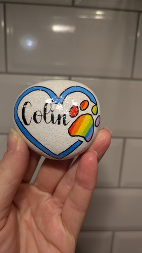 Hand painted rainbow paw - painted,