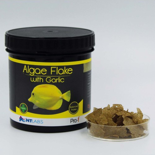 Labs algae flakes with - nt,