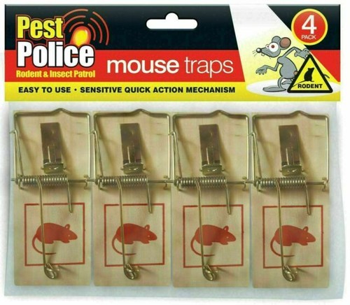 Traditional mouse traps - mouse,