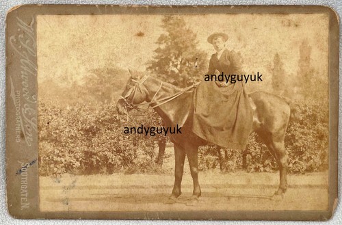 Cabinet card lady riding - cabinet, horse