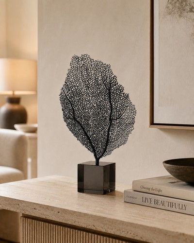 Real sea fan sculpture coastal - fan,