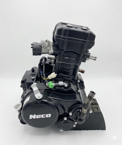 Neco n01 125 2022 - 2022,