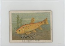 1923 ITC of Canada Birds