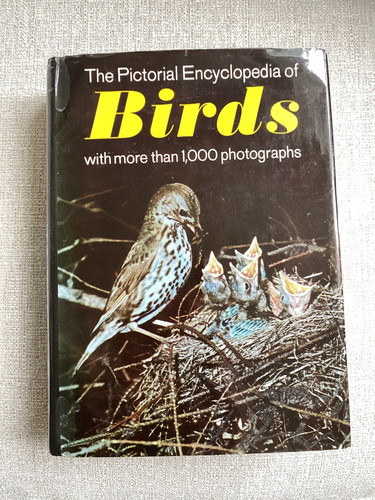 Vintage the pictorial - vintage,