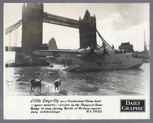 Short sunderland flyng boat - flyng,