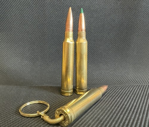 300 winchester magnum bullet - winchester,