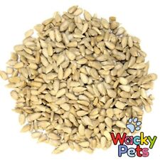 SUNFLOWER HEARTS QUALITY 900g