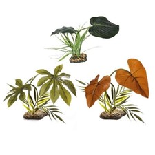 Komodo Reptile Canopy Vivarium