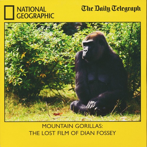 Mountain gorillas the lost - mountain,