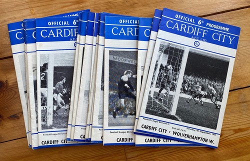 Cardiff city home - cardiff,