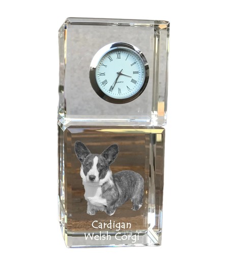 Cardigan welsh corgi - i,