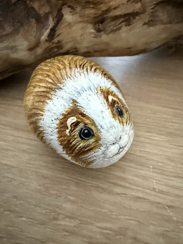 Cute baby guinea pig painting - pig,