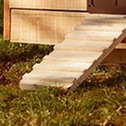 Customizable automatic chicken - automatic,