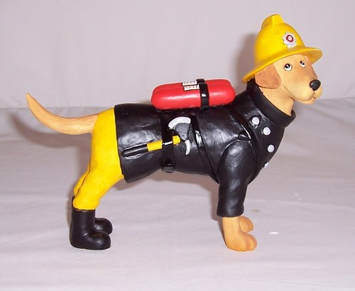 Border fine arts dapper - border, dog