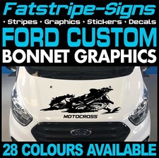 fits Ford Custom Graphics