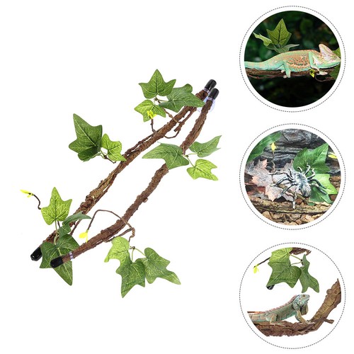 Pcs hanging plants - 2, reptile