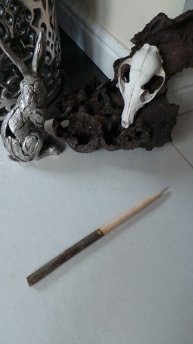 Magical blackthorn wood - blackthorn, wand