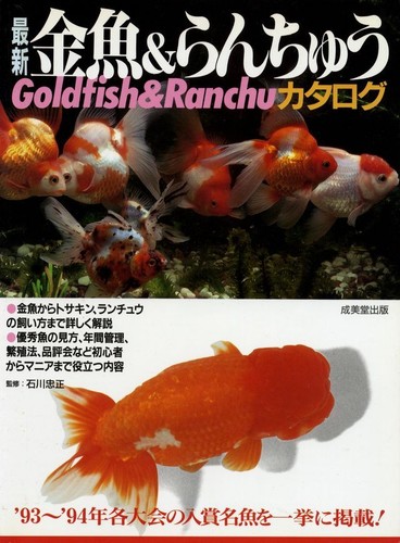 Japanese goldfish kingyo - japanese, &