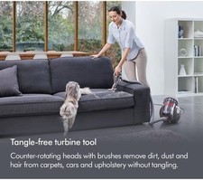 Dyson big ball animal - animal, 2