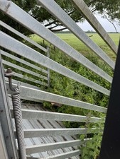 ifor williams trailer live stock