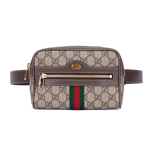 Gucci ophidia brown supreme - gucci,