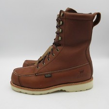 Irish Setter Red Wing