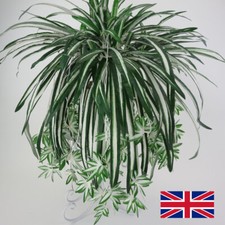 Hanging Wall Fake Artificial